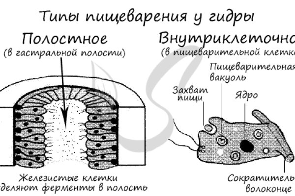 Как найти актуальную ссылку на кракен