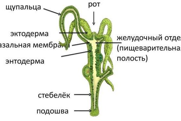 Кракен как войти