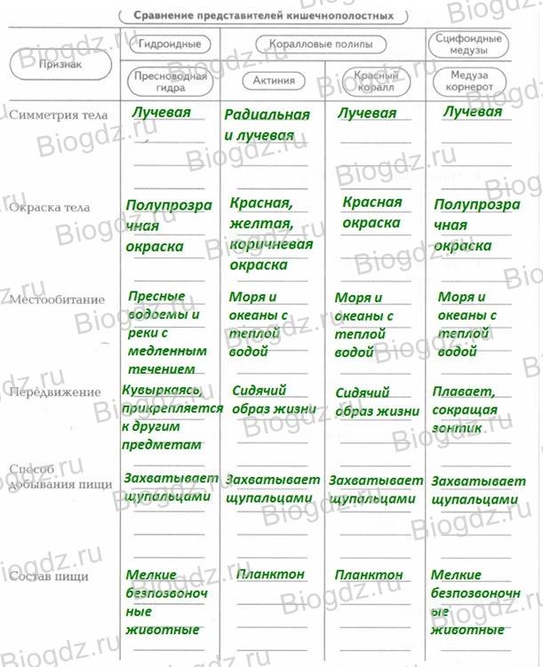 Кракен официальная ссылка зеркало